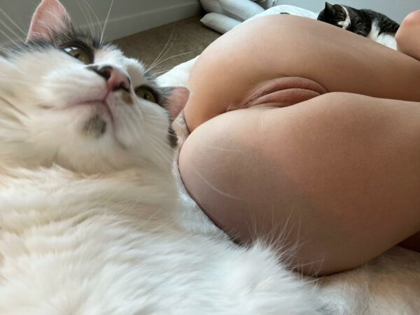 [F] Which pussy are you petting first? 👀