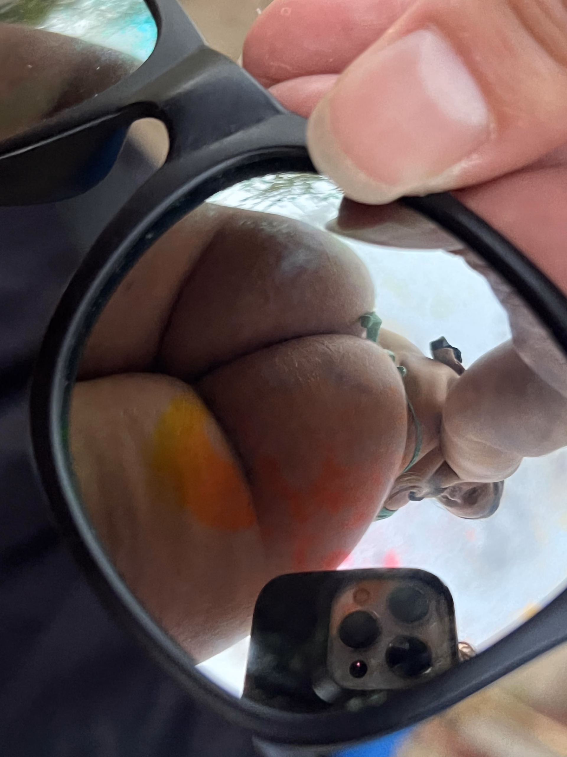 Bubble Butts Like my new sunglasses bigduchvip scaled
